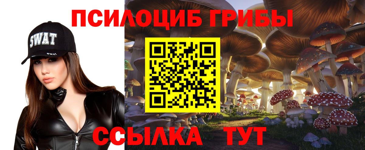 Псилоцибиновые грибы Psilocybe Владимир