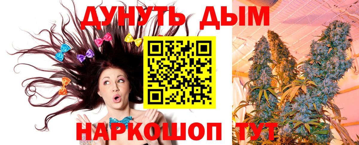 Галлюциногенные грибы Владимир